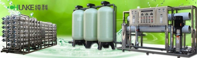 Environmental Protection Reverse Osmosis System Plus Electrodeionization EDI System