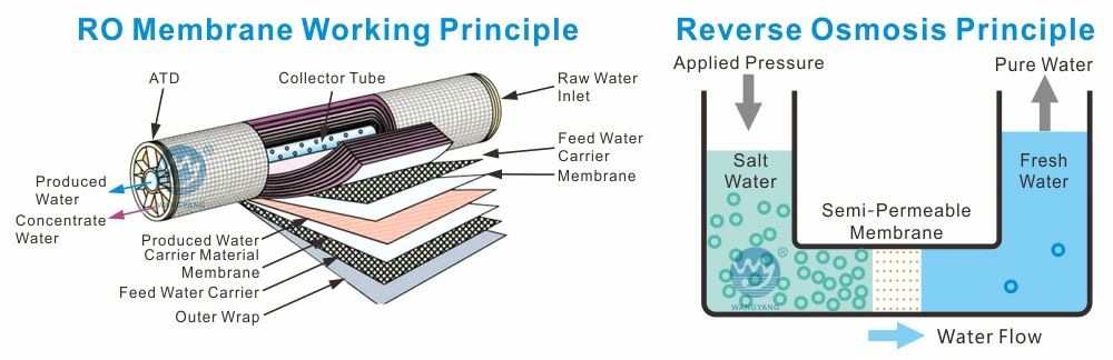 Hardness Removal Automatic Water Softener System in Boiler