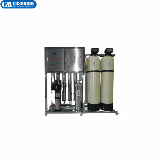 Sistema de ósmosis inversa de 0,5 t/H con sistema de agua ultra pura Softner+ EDI Capacidad de 500 l
